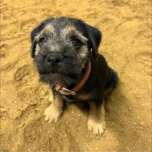 Meet your Posher, Charlotte